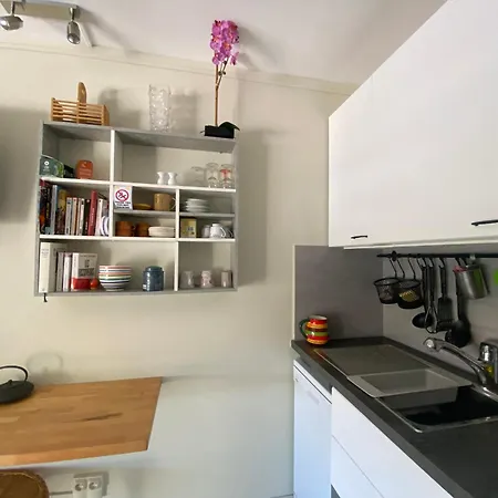 Du Roi - 4p - Rive Droite - Du Boucanet *