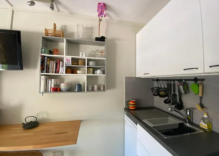 Du Roi - 4p - Rive Droite - Du Boucanet *