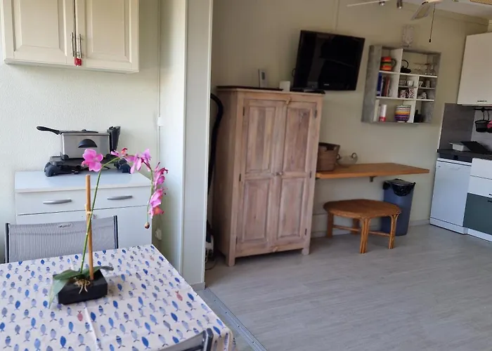 Du Roi - 4p - Rive Droite - Du Boucanet Дом отдыха Ле-Гро-дю-Руа