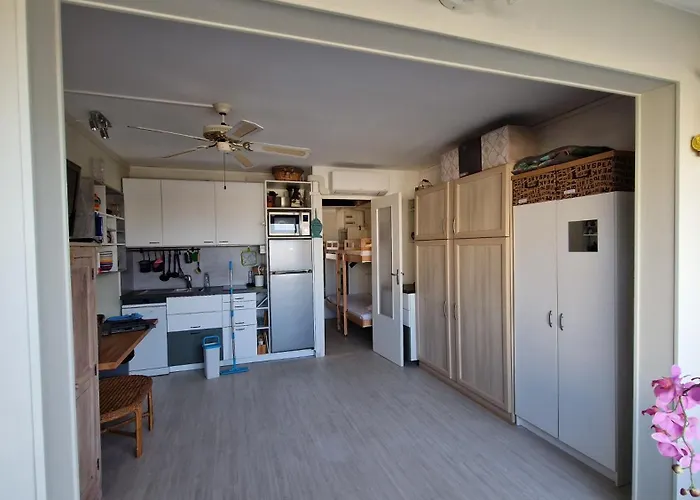 Du Roi - 4p - Rive Droite - Du Boucanet *